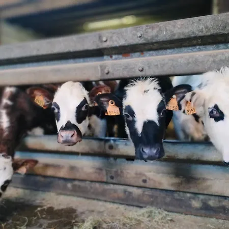 ベッド・アンド・ブレックファスト La Nuitee A La Ferme *