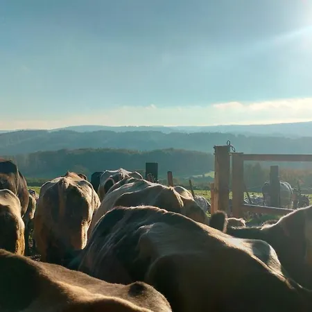 La Nuitee A La Ferme * Érezée